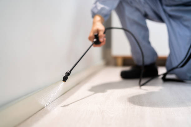 Licensed Pest Control service in Summit, MS - Show Me Pest Control