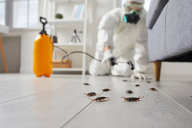 Commercial Kitchen Cockroach Control in Summit